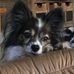 Beverly Drummond - Facebook
