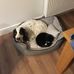 Beverley Duffy - Facebook