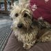 Bev Duke - Facebook