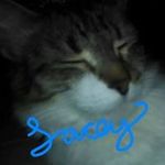 Beverly Duke Heffner - @bevyhef6 - Instagram