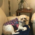 Beverley Dunn - @beverleydunn61 - Instagram