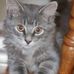 Beverley Dutton - Facebook
