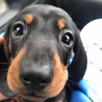 Beverley Dyer - @beverley4627 - Instagram