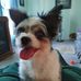 Beverly Dyer - Facebook
