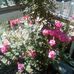 Beverly Eddy - Facebook