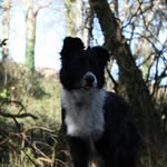 Beverley Edwards - @beverleyedwards954 - Instagram