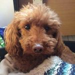 Beverley Edwards - @beverley9230 - Instagram