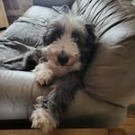 Beverley Edwards - @beverley.edwards.1671 - Instagram