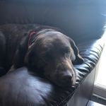 Beverley Elder - @beverley.elder - Instagram