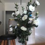 Beverley Elliott - @animalmad102 - Instagram
