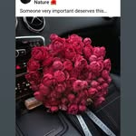 Beverley Ellis - @beverleyellis70 - Instagram