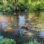 Beverley Ellis - @beverley.ellis.399 - Instagram