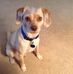Beverly England - Facebook