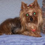 Beverly Damron Estes - @beverly.d.estes - Instagram