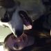 Beverly Evans - Facebook