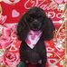Beverly Fagan - Facebook