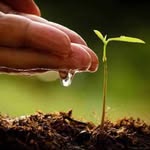 Beverley  E. PhD Ag 🌱💚              The Female Forager Farmer - @thefemaleforager_farmer - Instagram