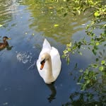 Beverley Field - @beverley.field.376 - Instagram