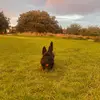 beverleyfield2 - @beverleyfield2 - TikTok