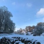Beverley Flintoff - @beverley_flintoff - Instagram