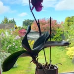 Beverley Forbes - @bev1962.bf - Instagram