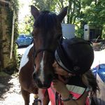 Beverley Ford - @bevford21 - Instagram