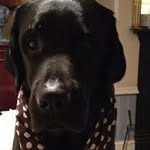 Beverley Forrest-jones - @beverleyforrestjones - Instagram