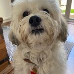 Beverley Foster - @beverleyfoster21 - Instagram