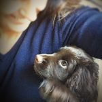 Beverley-Jayne Foster - @beverleyfoster - Instagram