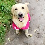 Beverley Fowler - @beverleyfowler8 - Instagram