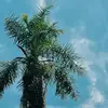 beverleyfowlermrs - @beverleyfowlermrs - TikTok