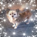 Beverley Franks - @beverleyfranks - Instagram