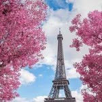 Beverley Franklin 712 - @marystone76347206 - Instagram