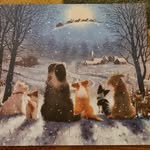 Beverley Fraser - @beverley_fraser - Instagram