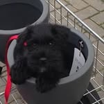 Beverley Freeman - @beverley_freeman - Instagram