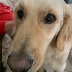 Beverly Friend - @beverlyfriend3 - Instagram