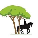 Beverley Gibbons - @pinetreesriding - Instagram