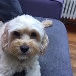 Beverley Gray - @bevgray13 - Instagram