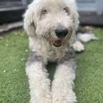 Beverley Gray - @bevginger32 - Instagram