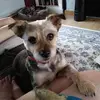 Beverley Gray - @beverley.gray8 - TikTok