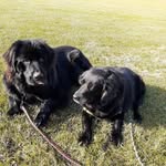 Beverley Green - @beverlyellieandfreddy - Instagram
