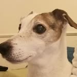 Beverley Green - @beverleygreen279 - Instagram