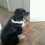 beverley harris - @beverleyharris132 - Instagram