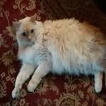 Beverley Harris - @beverley4342 - Instagram