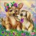 Beverley Harris - Facebook