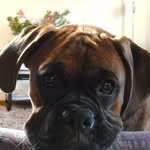 Beverley Hart - @kangagirl2 - Instagram