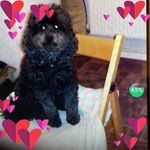 Beverley Hart - @beverley.hart.543 - Instagram