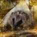 Beverley Hart - Facebook