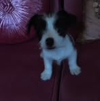 Beverley Herbert - Facebook