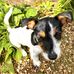 Beverley Ann - Facebook